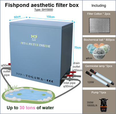 Fish Pond Aesthetic Filter Box